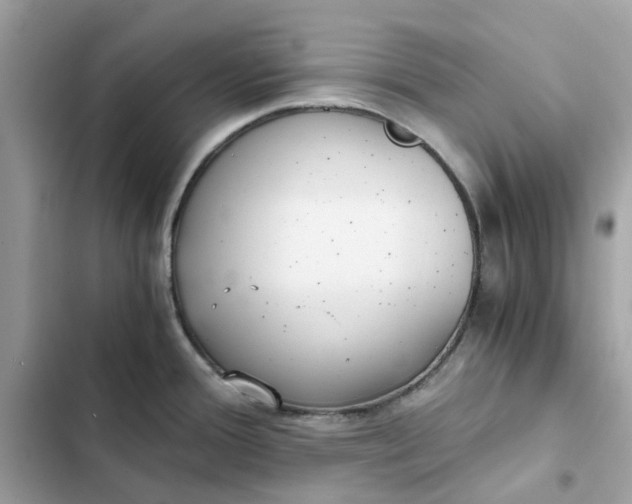 X0000102371388200808151825