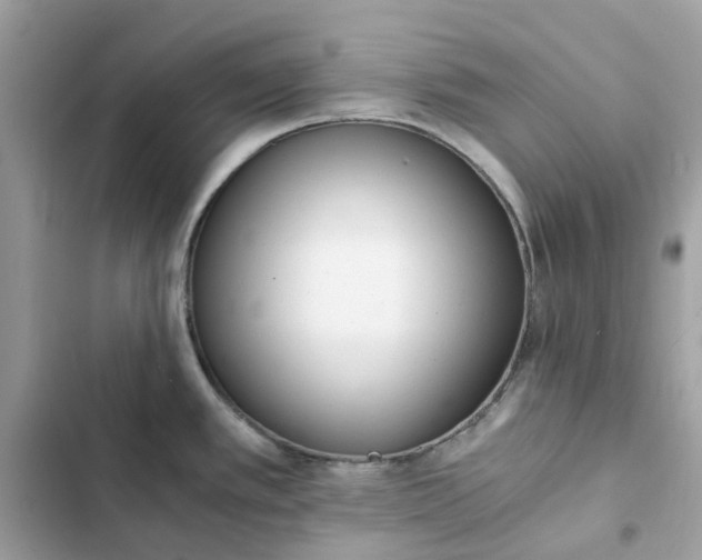 X0000102371389200808151825