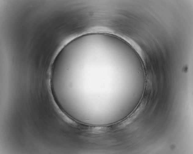 X0000102371390200808151825