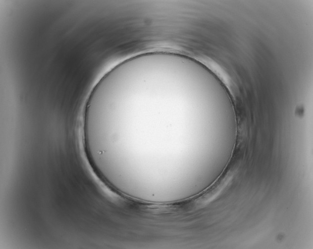 X0000102371391200808151825