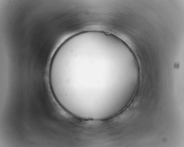 X0000102371392200808151825