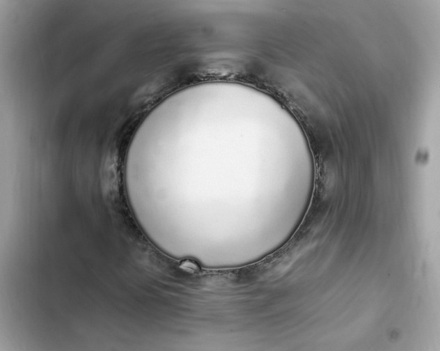 X0000102371394200808151824