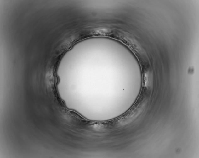 X0000102371395200808151825