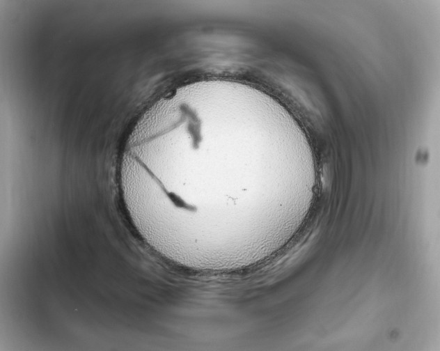 X0000102371396200808151825