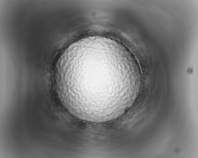 X0000102371397200808151825