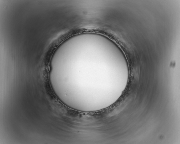 X0000102371398200808151825