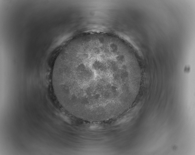 X0000102371399200808151825