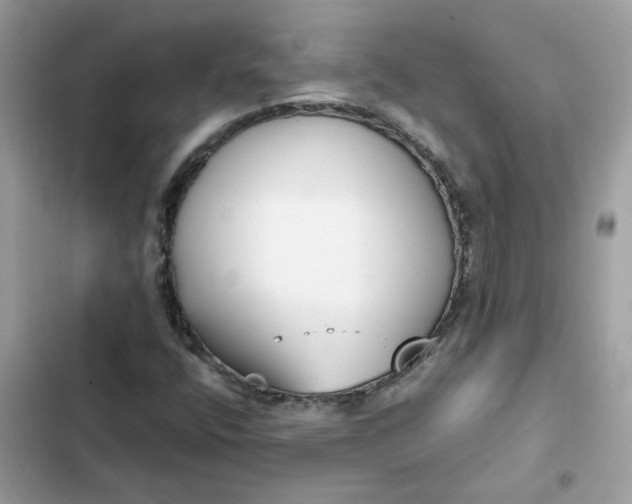 X0000102371400200808151825