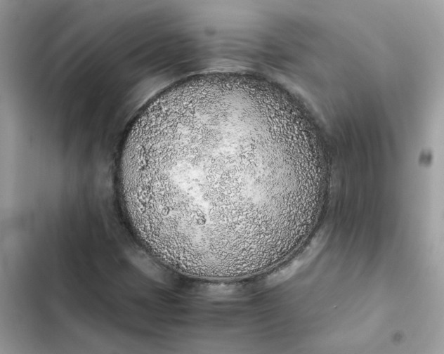 X0000102371401200808151825