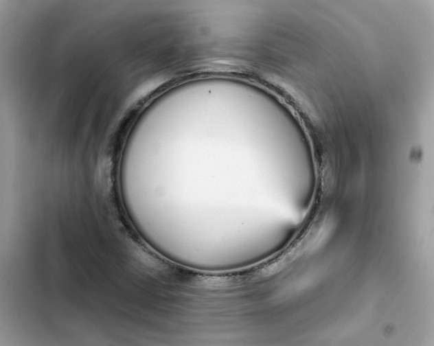 X0000102371402200808151825