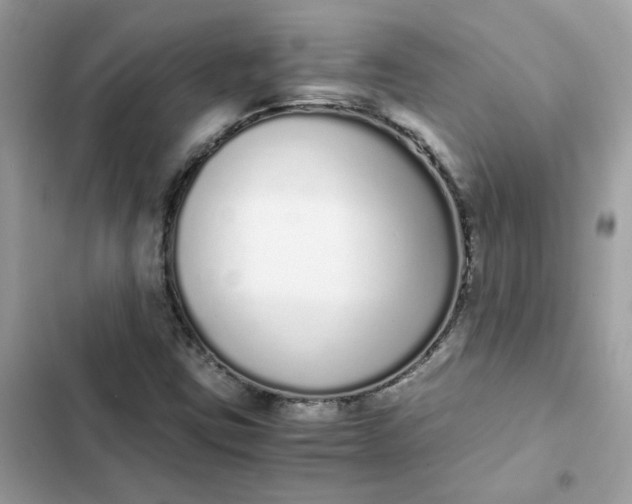 X0000102371403200808151825