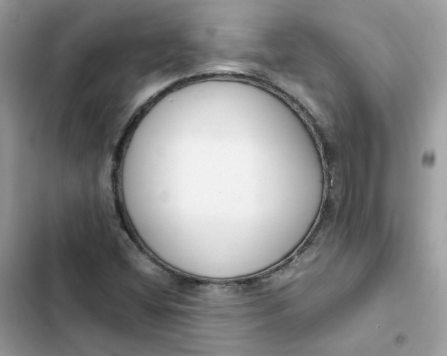 X0000102371404200808151825