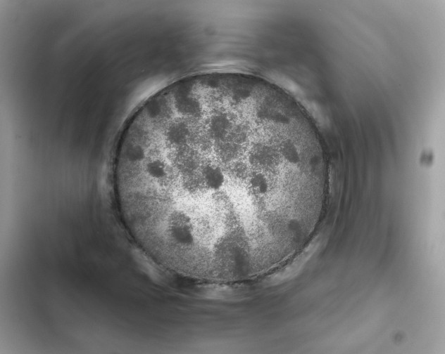 X0000102371405200808151825