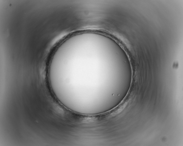 X0000102371406200808151825