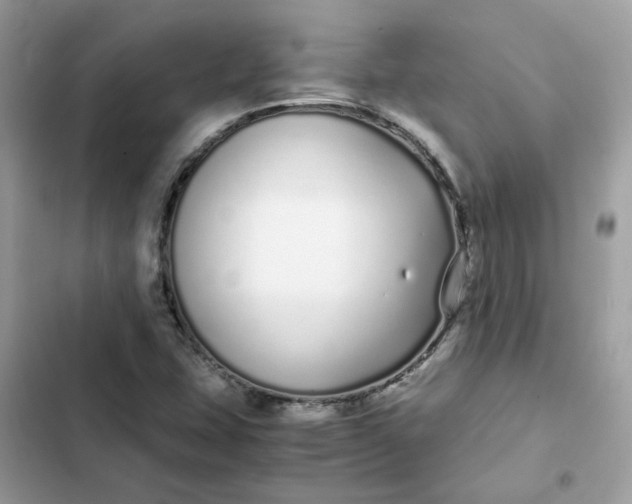 X0000102371407200808151825