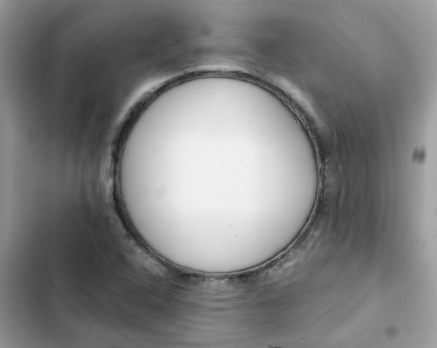 X0000102371408200808151825