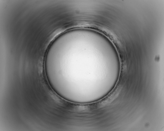 X0000102371409200808151825