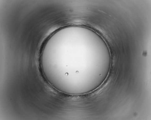 X0000102371410200808151825