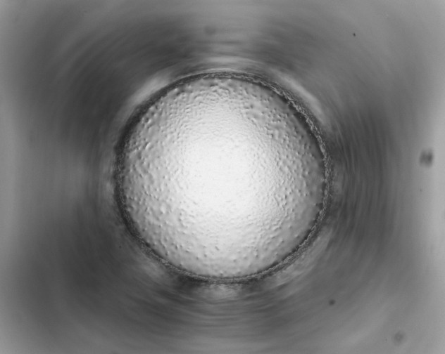 X0000102371411200808151825