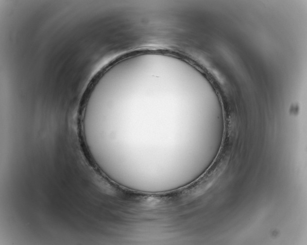 X0000102371412200808151825