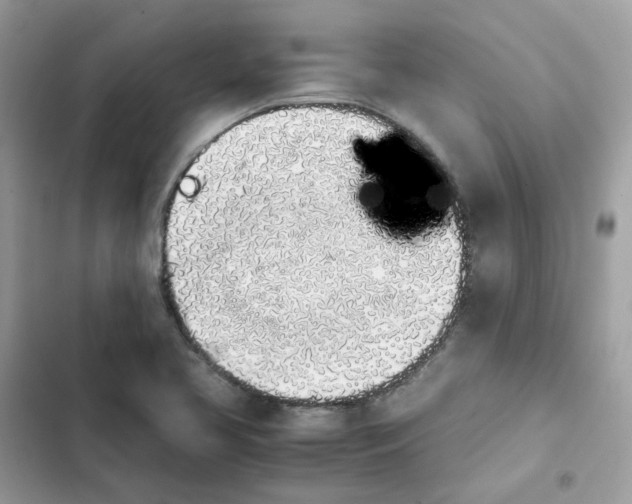 X0000102371413200808151825