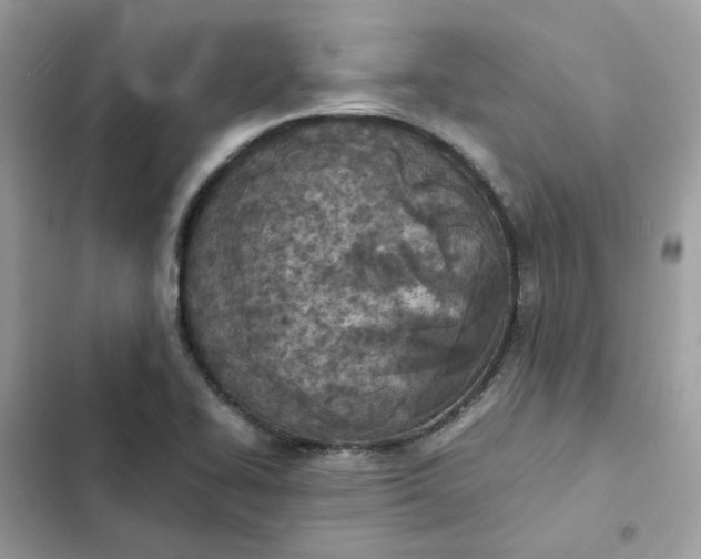 X0000102371414200808151825