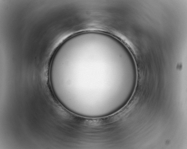 X0000102371415200808151825