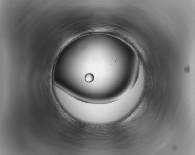 X0000102371417200808151825