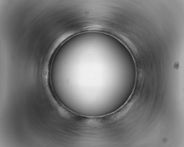 X0000102371418200808151825