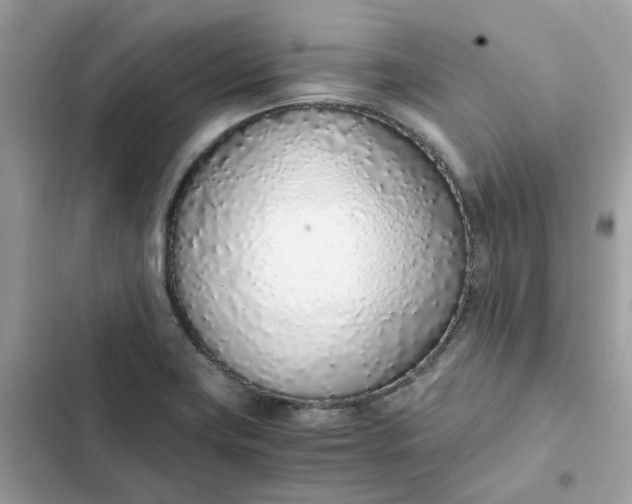 X0000102371419200808151825