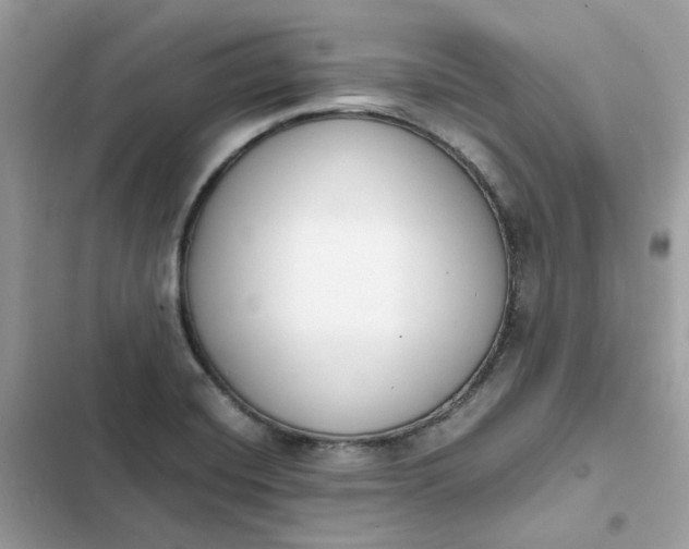 X0000102371420200808151825