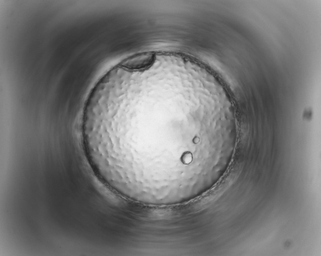 X0000102371421200808151825