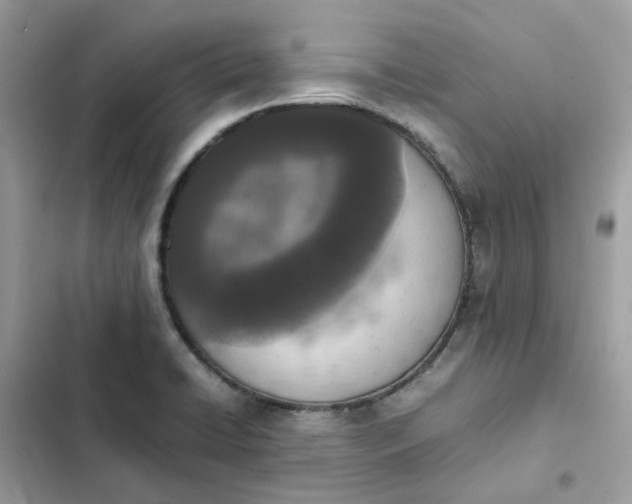 X0000102371422200808151825