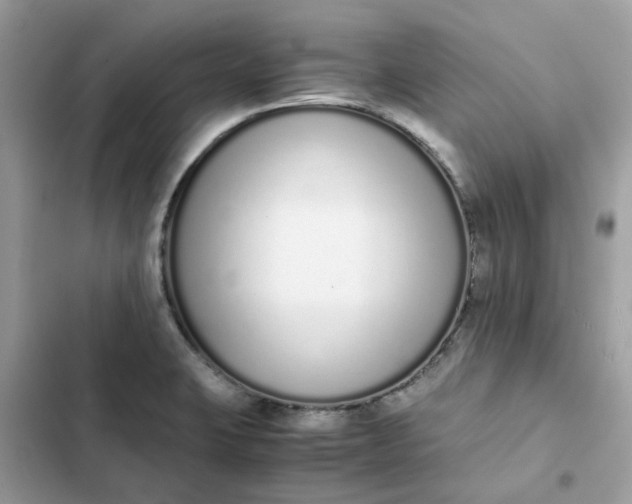 X0000102371423200808151825