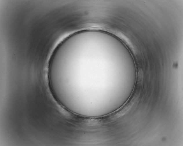 X0000102371424200808151825