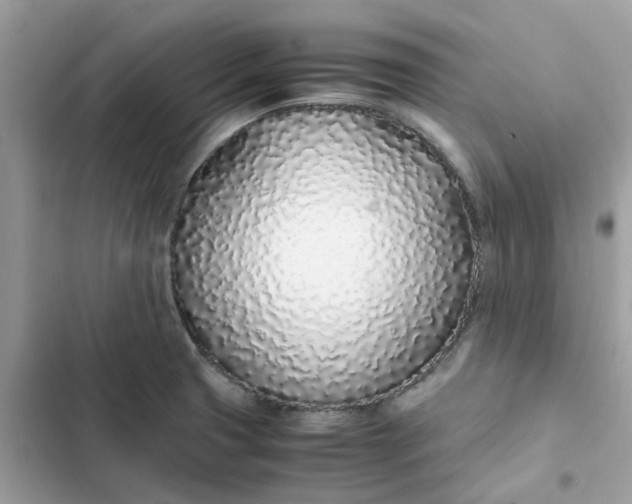 X0000102371425200808151825