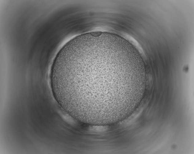 X0000102371427200808151825