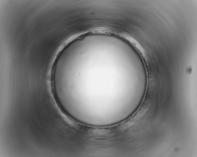 X0000102371429200808151825