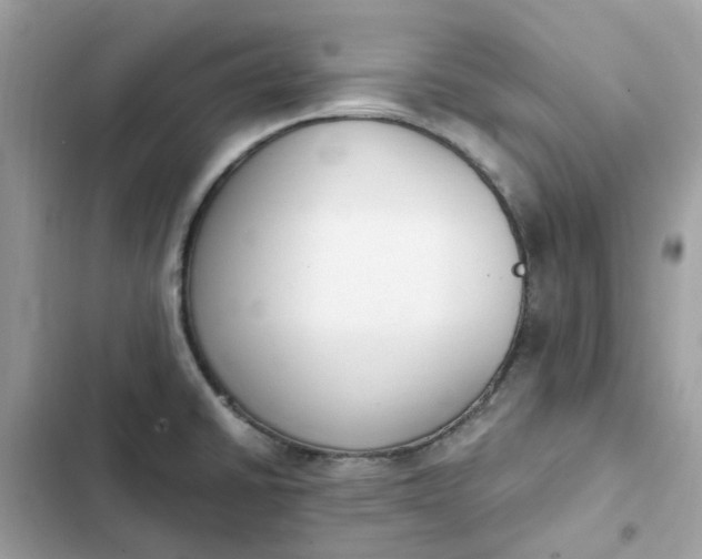 X0000102371430200808151825