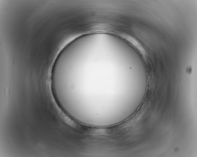 X0000102371431200808151825