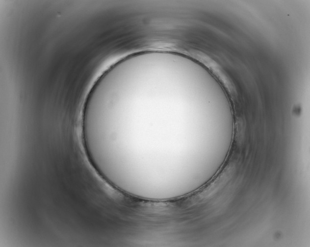 X0000102371432200808151825