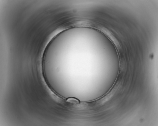 X0000102371434200808151825