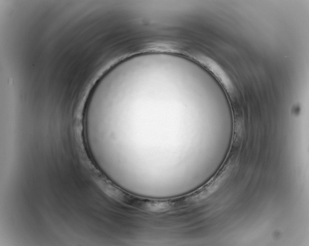 X0000102371435200808151825