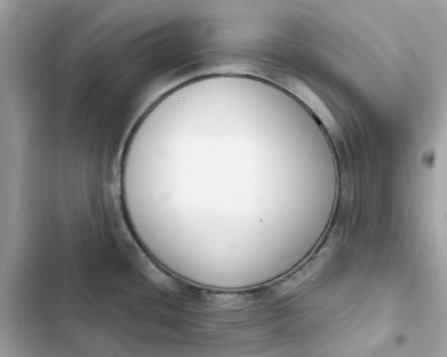 X0000102371436200808151825