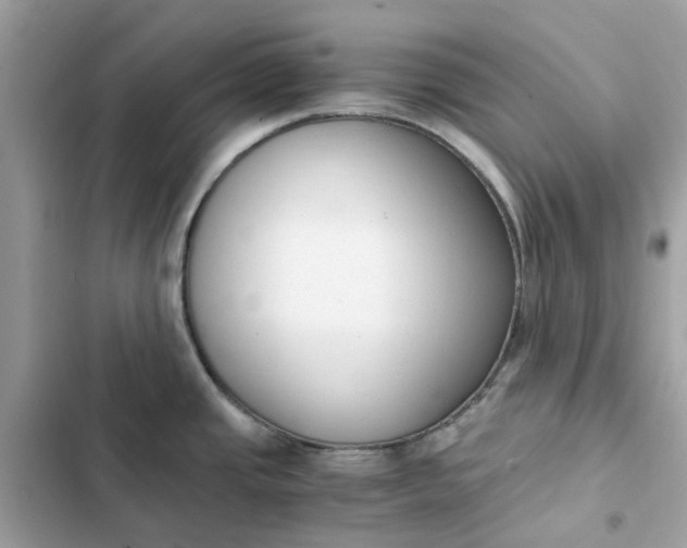 X0000102371437200808151825