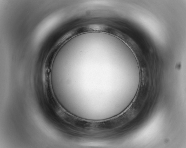 X0000102371438200808151825