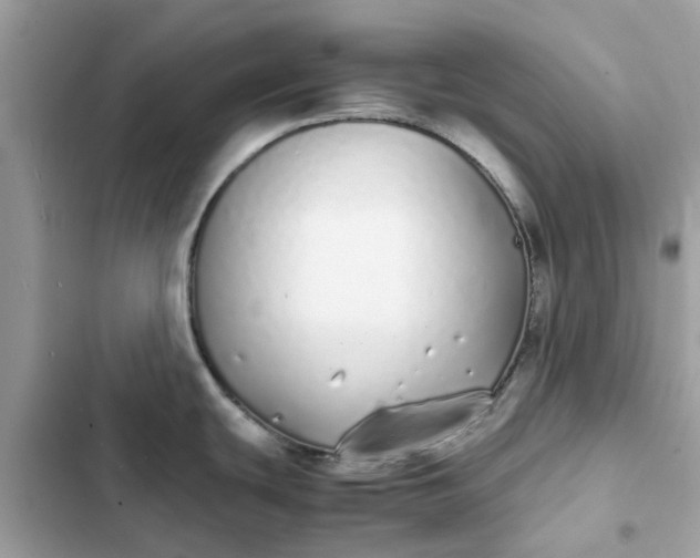 X0000102371439200808151825