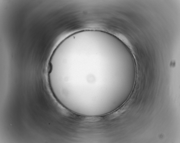 X0000102371440200808151825