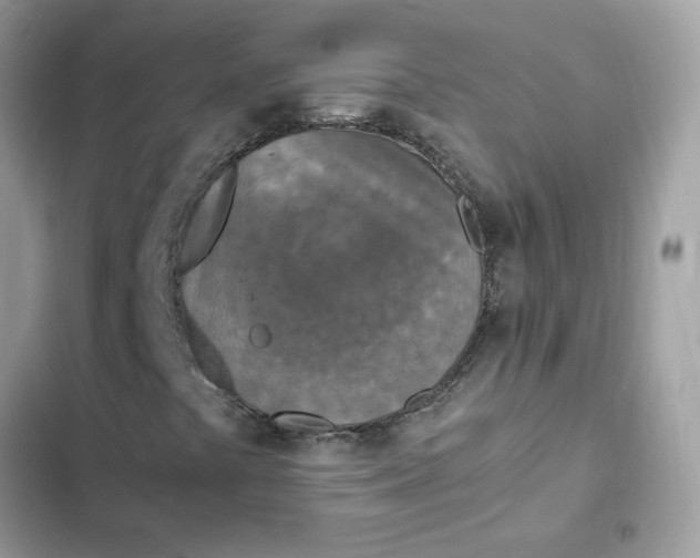 X0000102371441200808151824