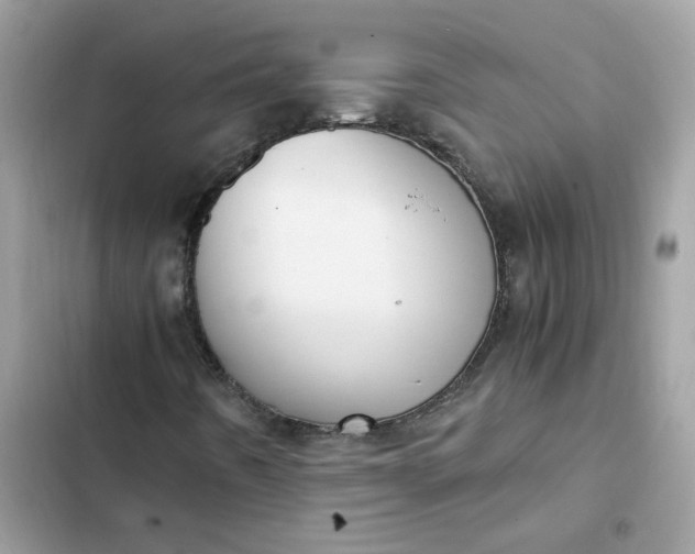 X0000102371442200808151824